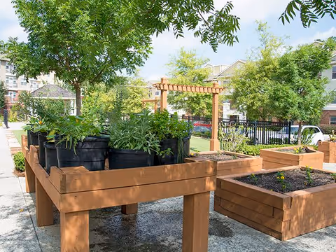 Outdoor garden area with raised wooden planter boxes containing various plants and greenery, surrounded by trees and a black metal fence, with residential buildings visible in the background under a partly cloudy sky.