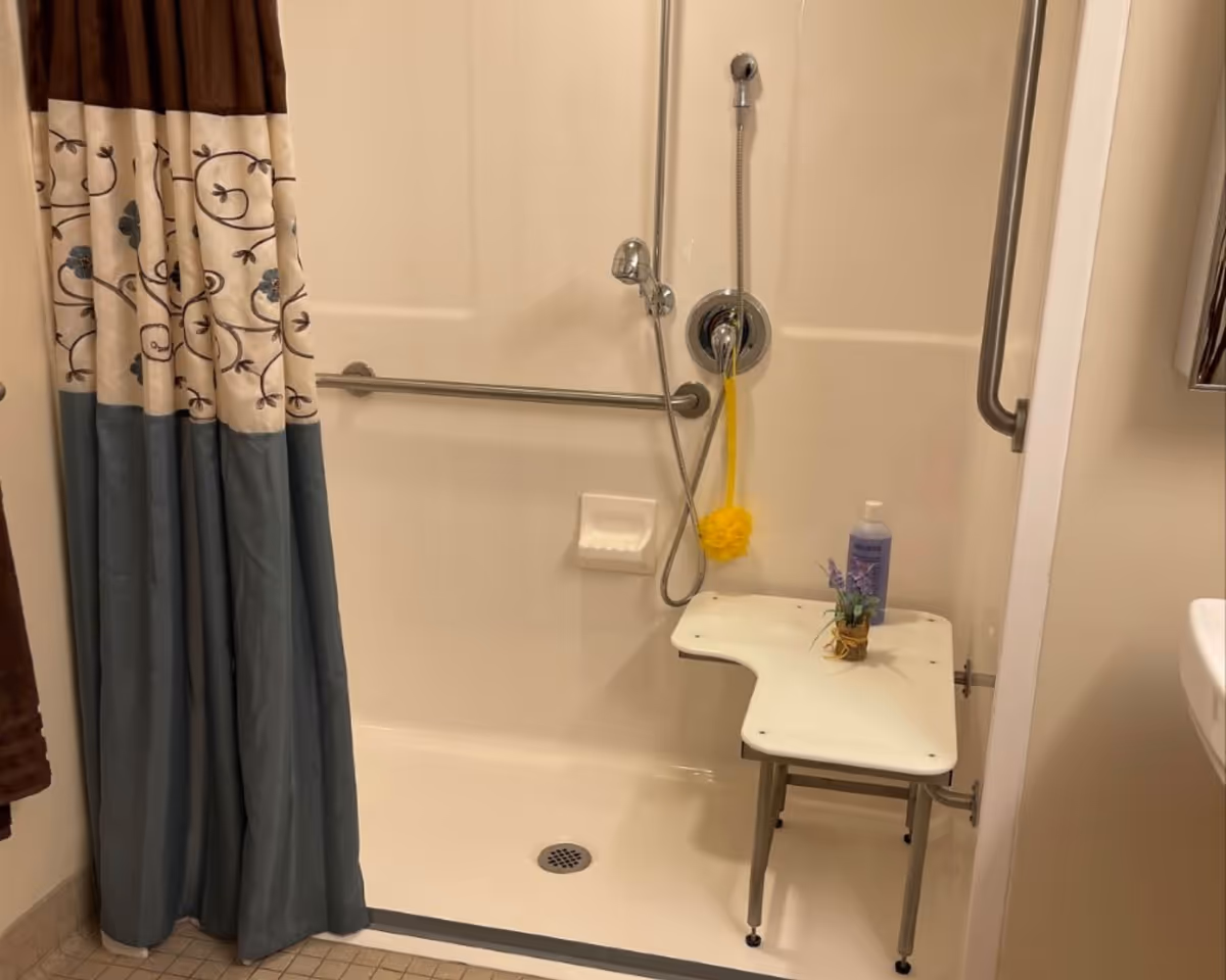 Accessible walk-in shower with a folding seat, handheld showerhead, grab bars, and a patterned shower curtain.