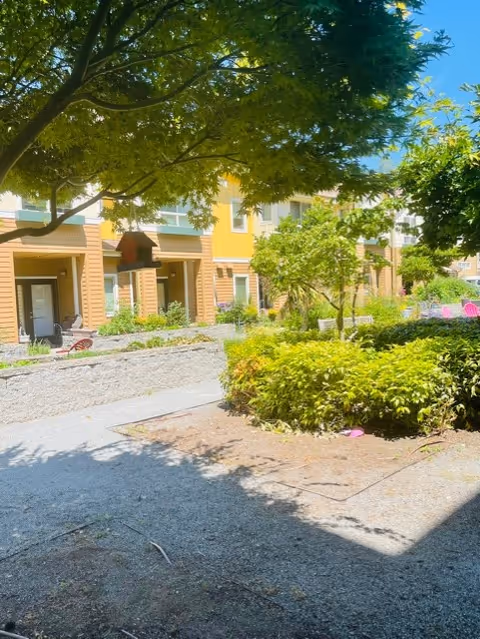 Sunny courtyard with trees, shrubs, paved walkways and the front of a yellow and tan multi-unit residential building.