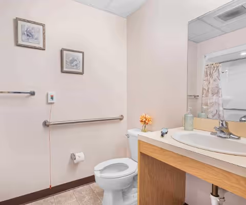 Accessible bathroom with a toilet, sink and vanity, wall-mounted grab bar, mirror, and shower curtain.