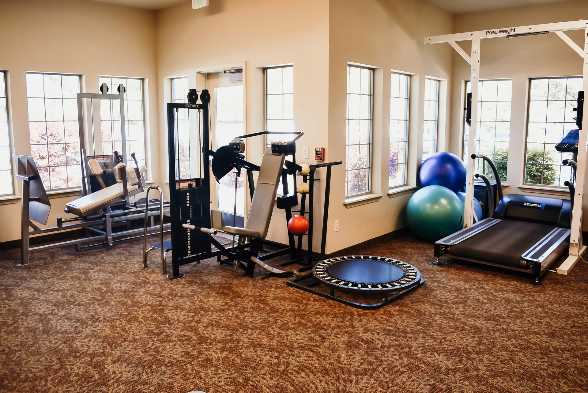 A well-lit exercise room with large windows showing outdoor greenery. The room contains various fitness equipment including a treadmill, weight machine, exercise balls, a small trampoline, and other workout apparatus. The floor is carpeted with a brown patterned carpet.
