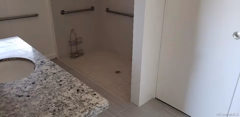 Bathroom interior showing a granite countertop with an inset sink on the left, a tiled walk-in shower with grab bars and a small metal shower caddy in the corner, and a closed white door on the right.