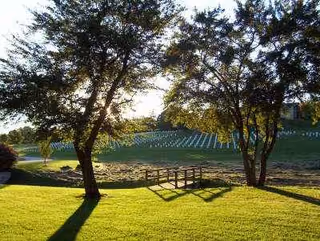 Sunlit outdoor park area with trees, a small wooden bridge, and a grassy field.