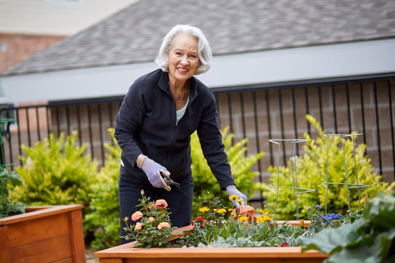 An elderly woman with white hair wearing a black jacket and gardening gloves is tending to flowers in a raised garden bed outdoors. She is smiling and holding pruning shears, surrounded by colorful flowers and greenery with a building and railing in the background.