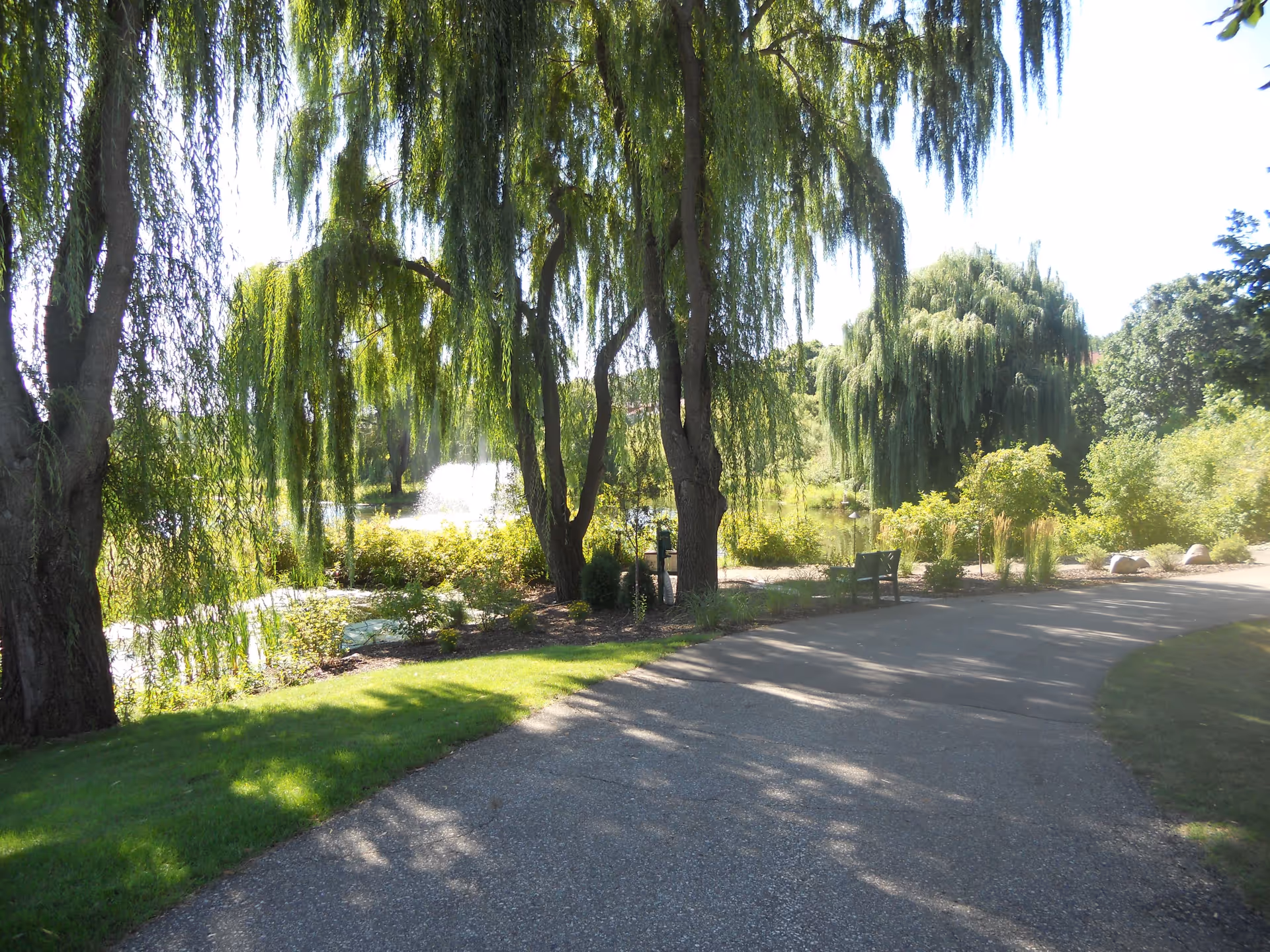 A peaceful outdoor scene at The Glenn Hopkins featuring a paved walking path winding through a garden area with lush green grass, bushes, and large weeping willow trees. Sunlight filters through the tree branches, casting shadows on the path. A bench is visible along the path, and a water fountain can be seen in the background near a pond.