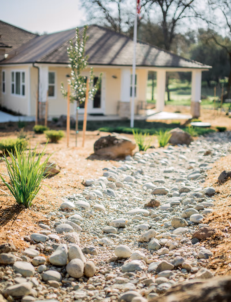 A landscaped outdoor area with a dry riverbed made of various sized rocks and small green plants on either side. In the background, there is a single-story building with a porch, white walls, and a brown roof, surrounded by trees.