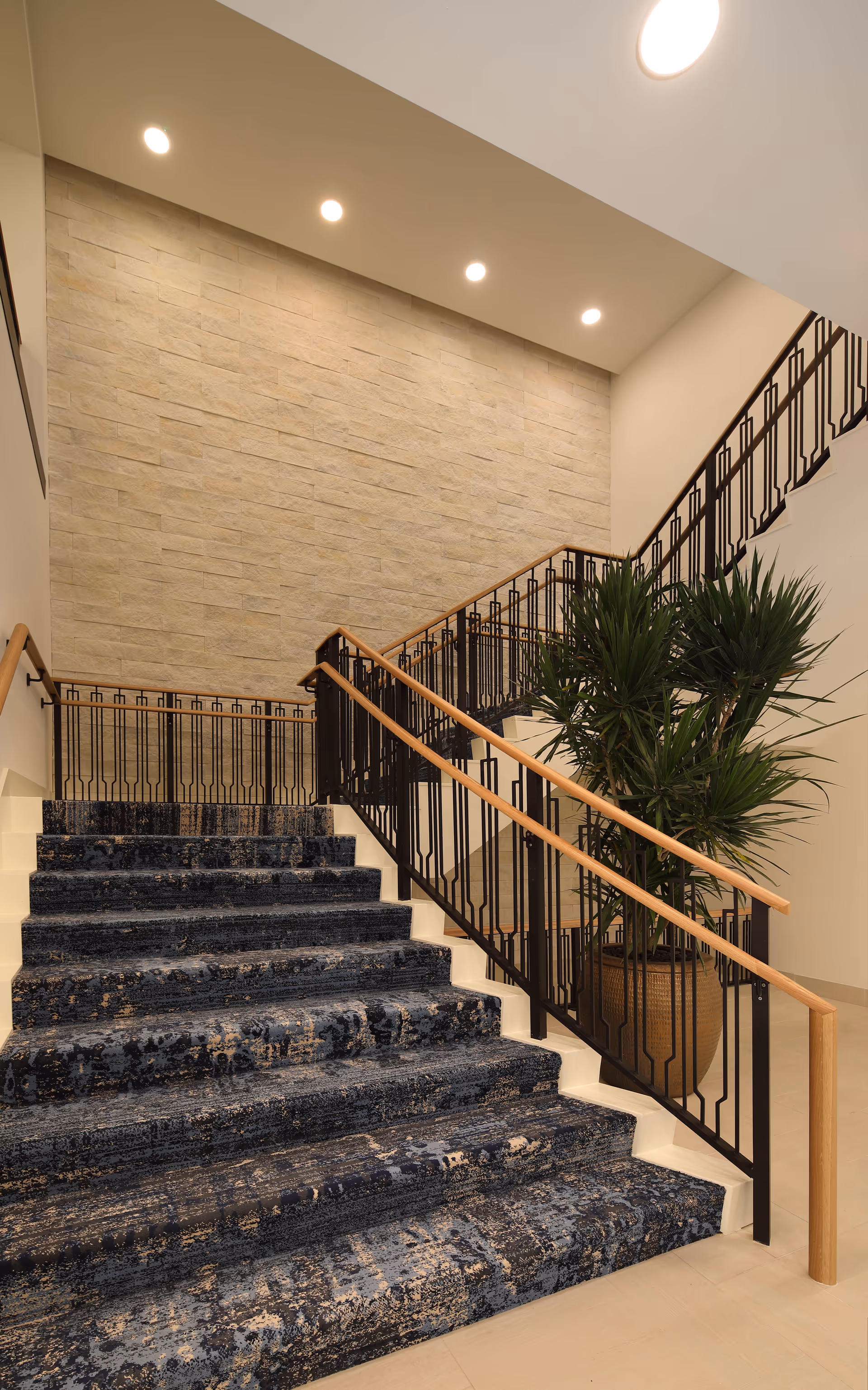 Carpeted staircase with a blue and beige patterned runner, black metal railings with wooden handrails, a large potted plant on the landing, and a beige textured stone wall illuminated by recessed ceiling lights.