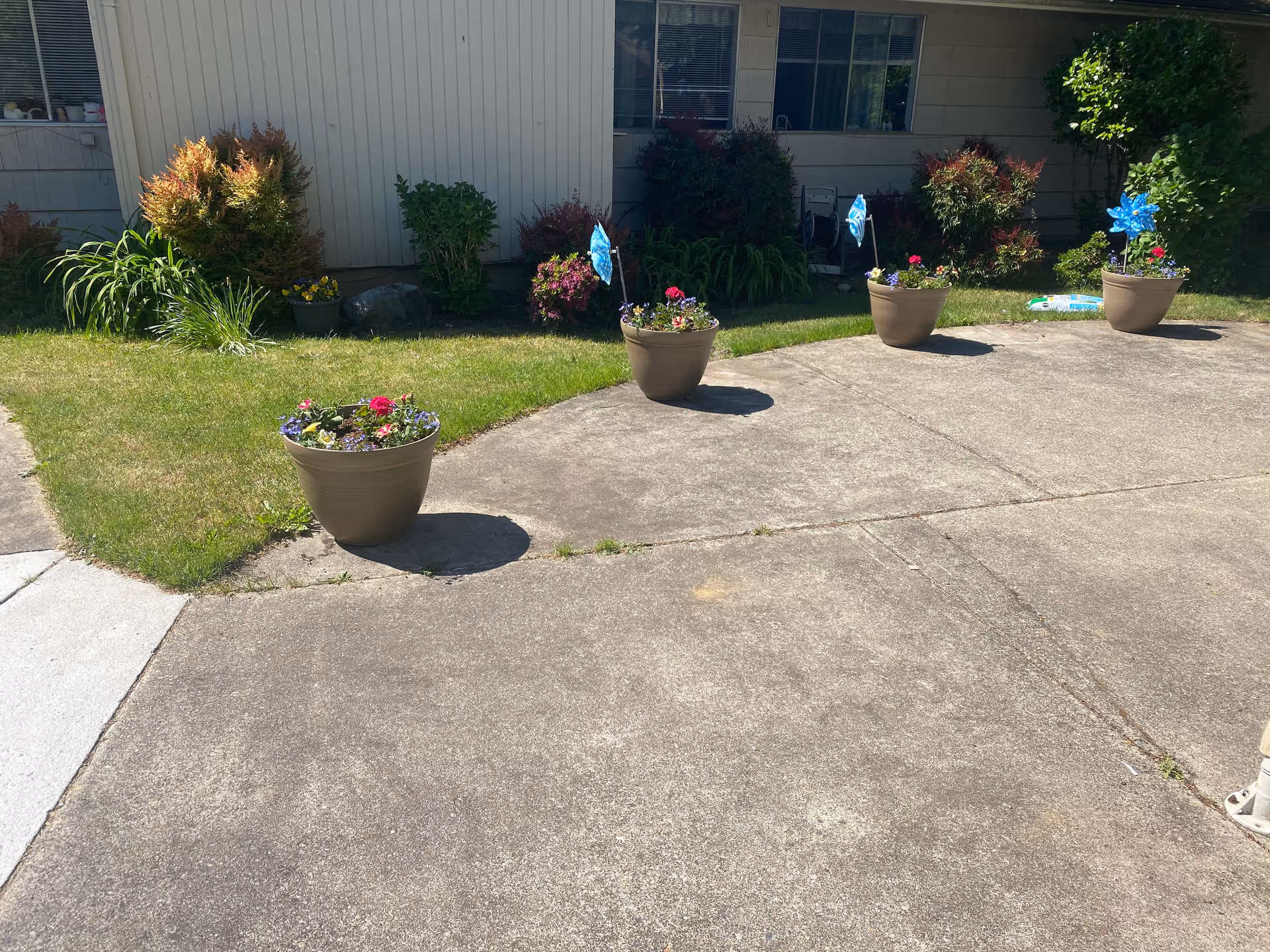 Concrete driveway and small lawn with four potted flower planters in front of a building facade.