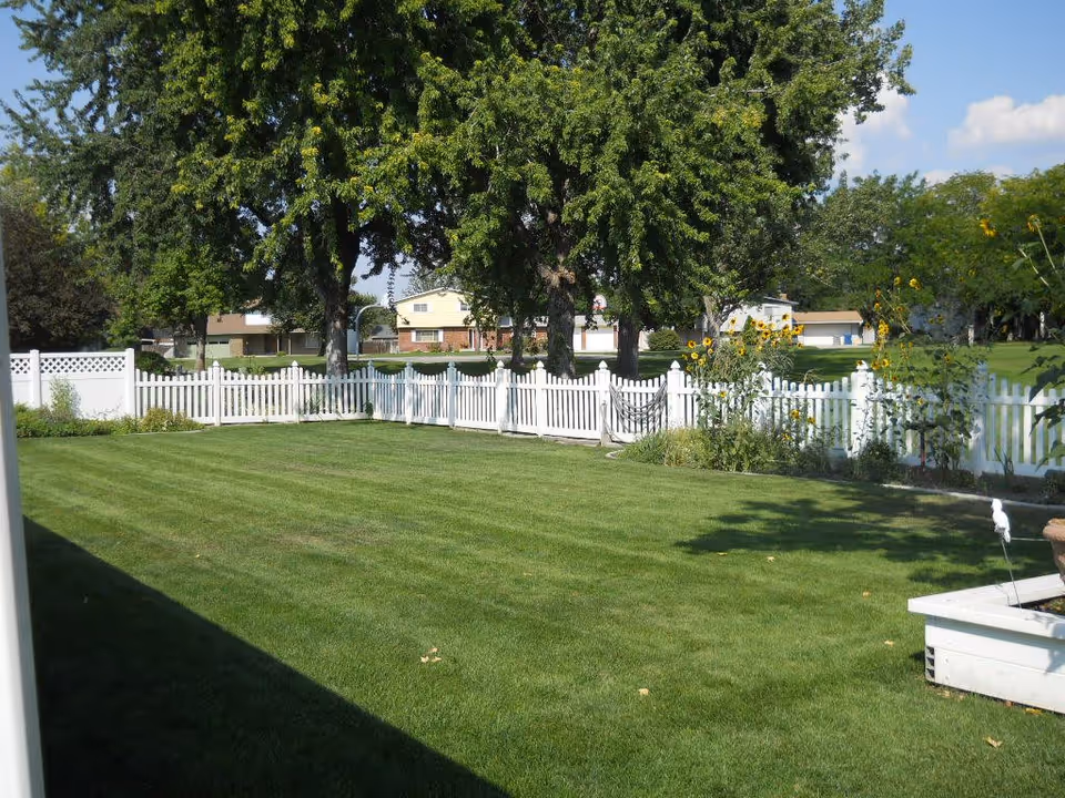 A well-maintained green lawn bordered by a white picket fence with tall trees and sunflowers along the fence. Residential houses are visible in the background under a partly cloudy blue sky.