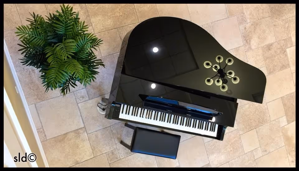 Top-down view of a black grand piano with a matching bench on a tiled floor, next to a green potted plant. The piano lid reflects a ceiling light fixture.