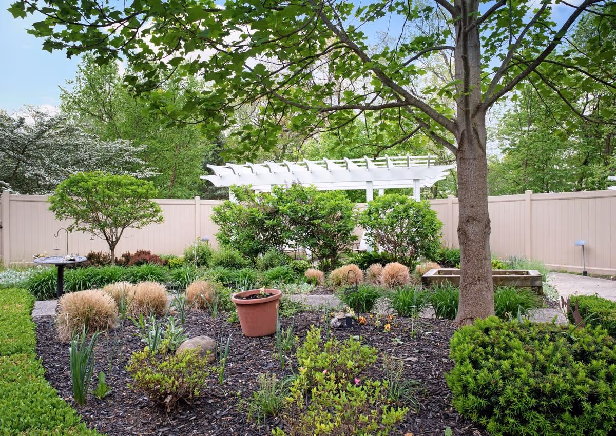 Landscaped courtyard garden featuring a large tree, shrubs, ornamental grasses, a terracotta pot and a white pergola against a privacy fence.