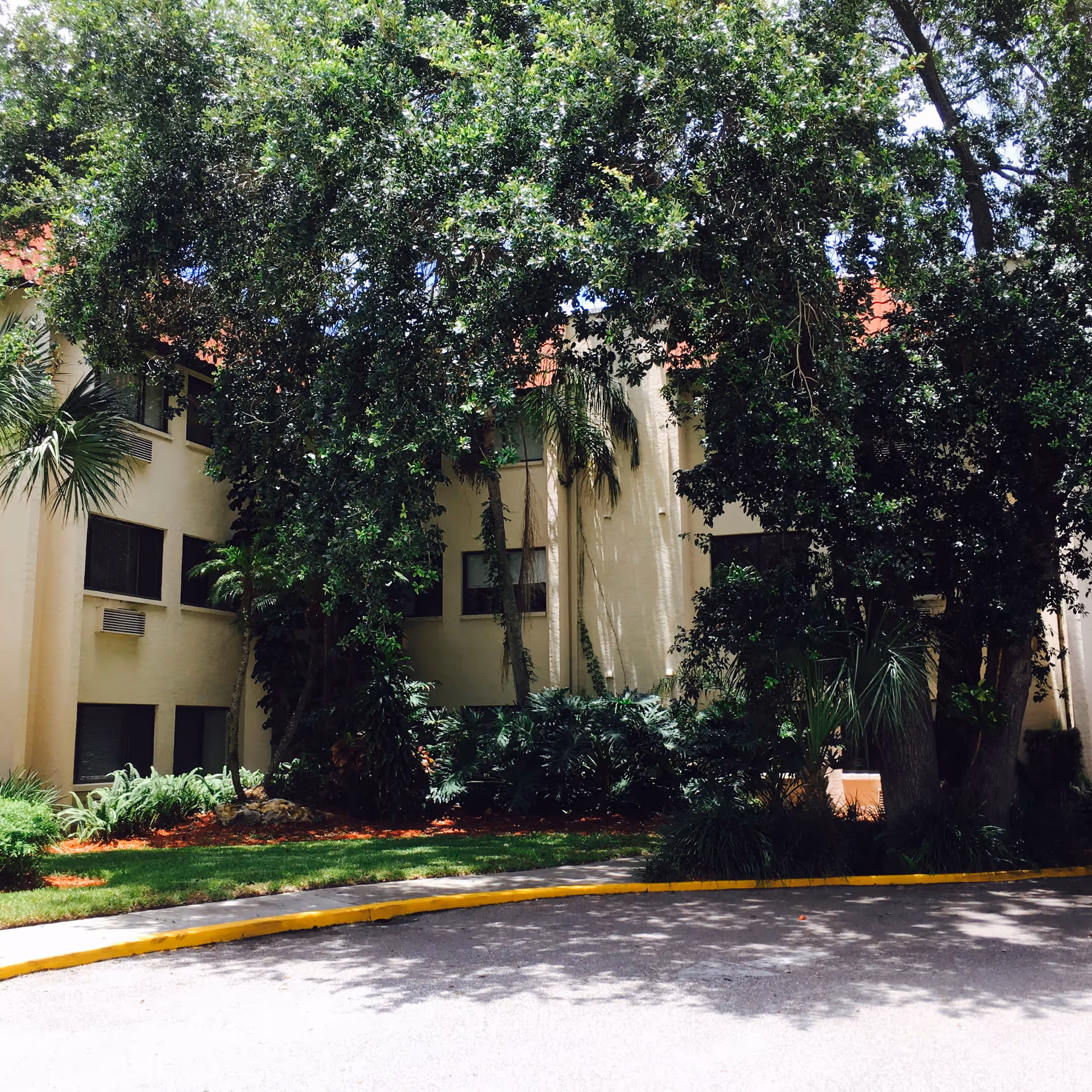 Exterior view of a building partially obscured by large trees and lush greenery, with a curved driveway bordered by a yellow curb in the foreground.