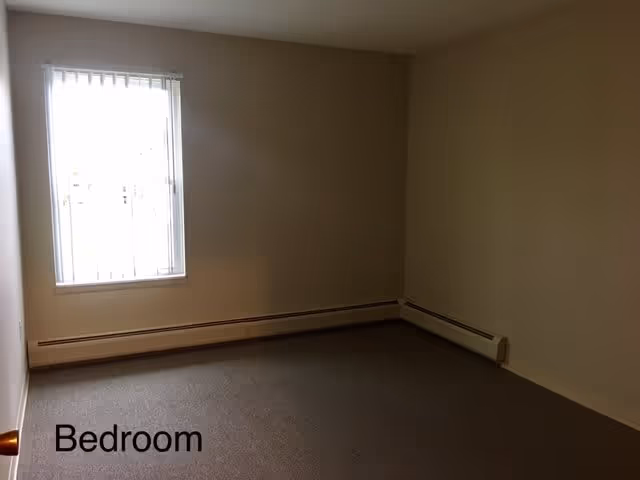 Empty bedroom with beige walls, a window with vertical blinds allowing natural light, and a carpeted floor. There is a baseboard heater along the walls under the window and on the adjacent wall.