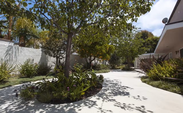 A sunny outdoor pathway surrounded by various green plants, trees, and shrubs. The path curves gently and is bordered by landscaped garden beds. A building with a light exterior wall and a satellite dish is visible on the right side, and a white wall runs along the left side of the pathway.