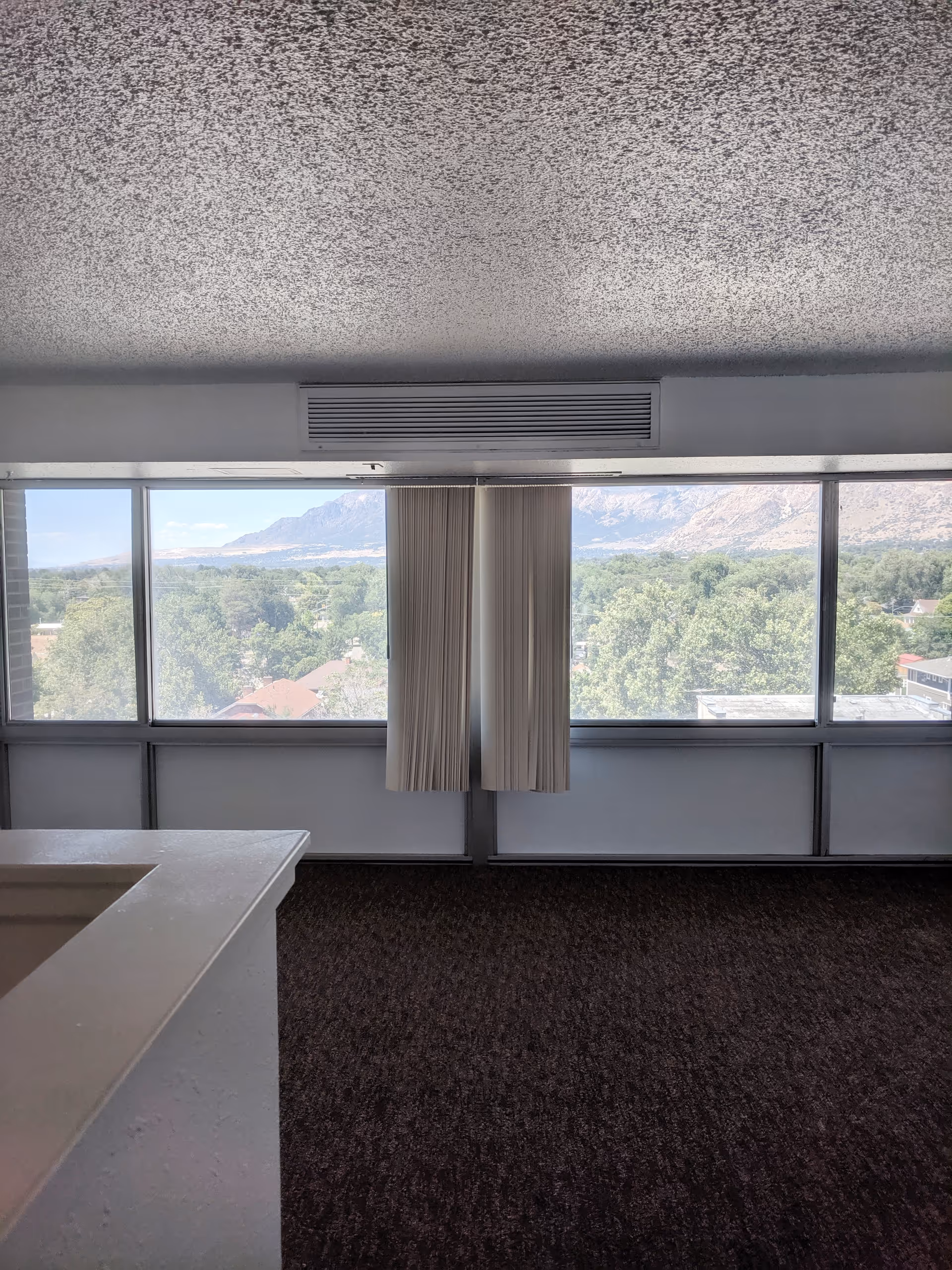 Interior view of a room with large windows showing a scenic mountain and tree landscape outside. The room has a dark carpeted floor, a white countertop in the foreground, and vertical blinds partially covering the windows.