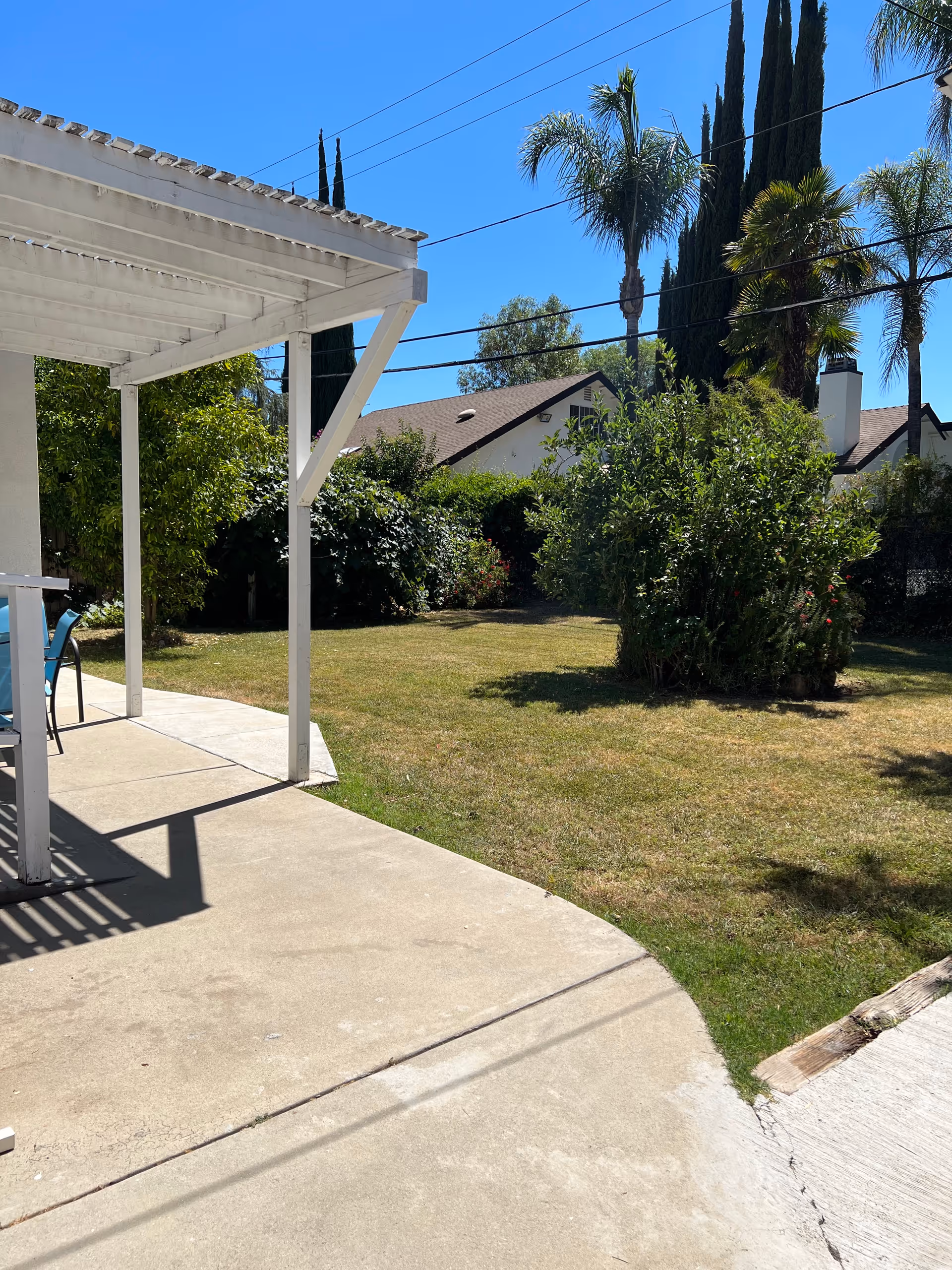 A sunny outdoor patio area with a white pergola providing shade over a concrete surface. There are blue chairs and a table partially visible on the left side. Beyond the patio is a grassy yard with bushes, trees, and tall palm trees in the background under a clear blue sky.