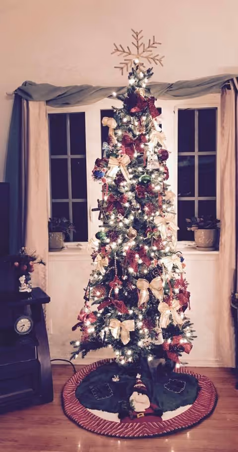 A decorated, lit Christmas tree with bows and ornaments stands on a tree skirt in front of a curtained window in a living room.
