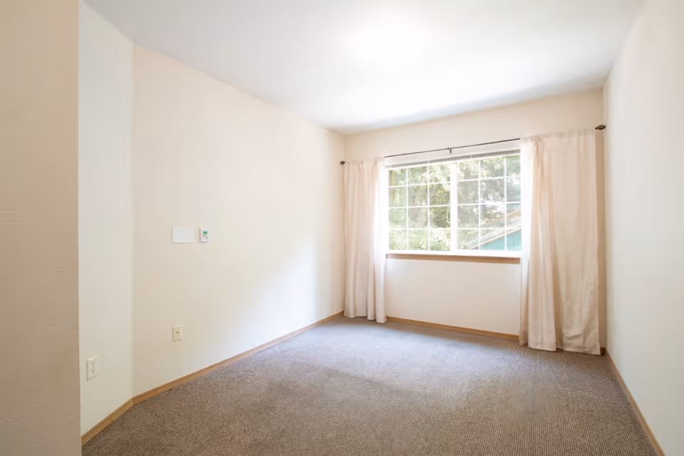 Empty room with beige walls and carpeted floor, featuring a large window with white curtains allowing natural light to enter.