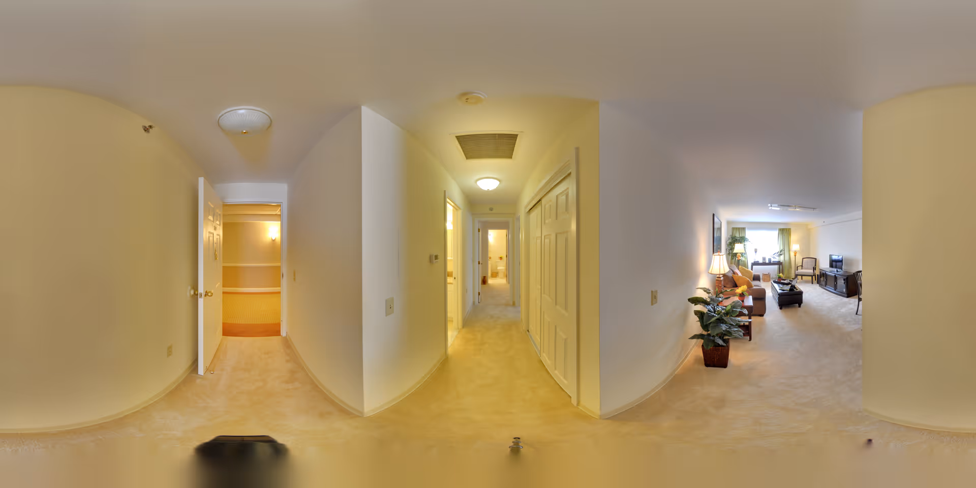 Wide-angle view of an interior hallway in a senior living facility with beige carpet and walls. The hallway leads to a living room area furnished with a sofa, armchair, coffee table, TV, and lamps. There are doors along the hallway and a potted plant near the living room entrance. The lighting is warm and inviting.