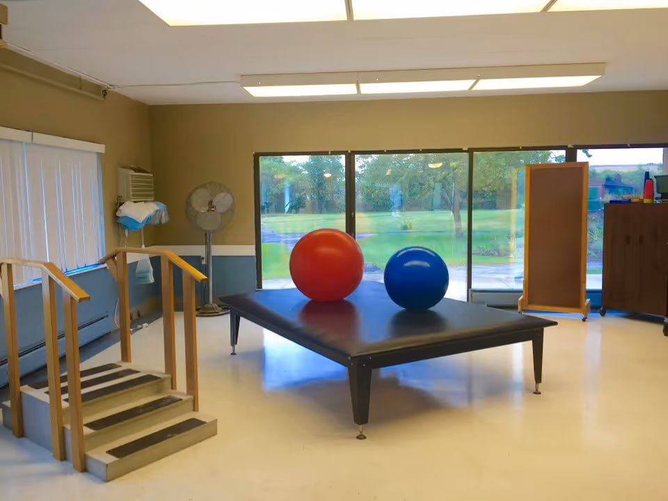 A rehabilitation room with a set of small stairs with handrails, a large black padded table with a red and a blue exercise ball on top, a standing fan, a towel rack with towels, and large windows showing a green outdoor area.