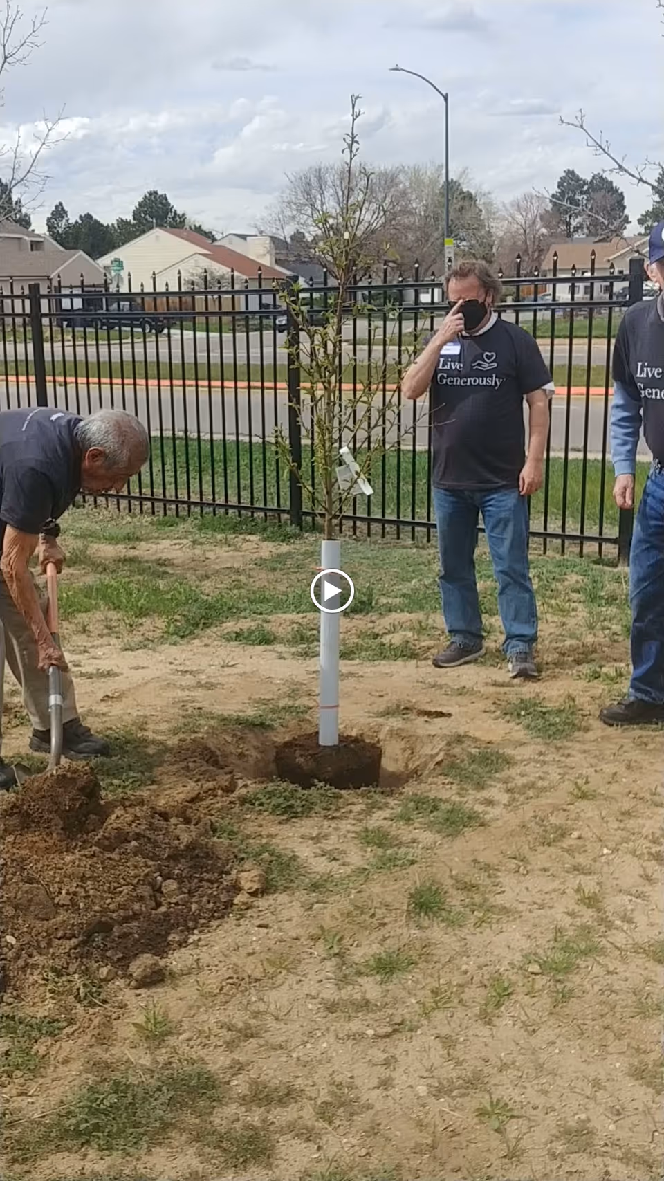 Three men outdoors near a black metal fence, planting a young tree in a patch of dirt and grass. One man is digging with a shovel, while another man wearing a black mask and a 'Live Generously' t-shirt stands nearby. The third man is partially visible on the right side of the image.