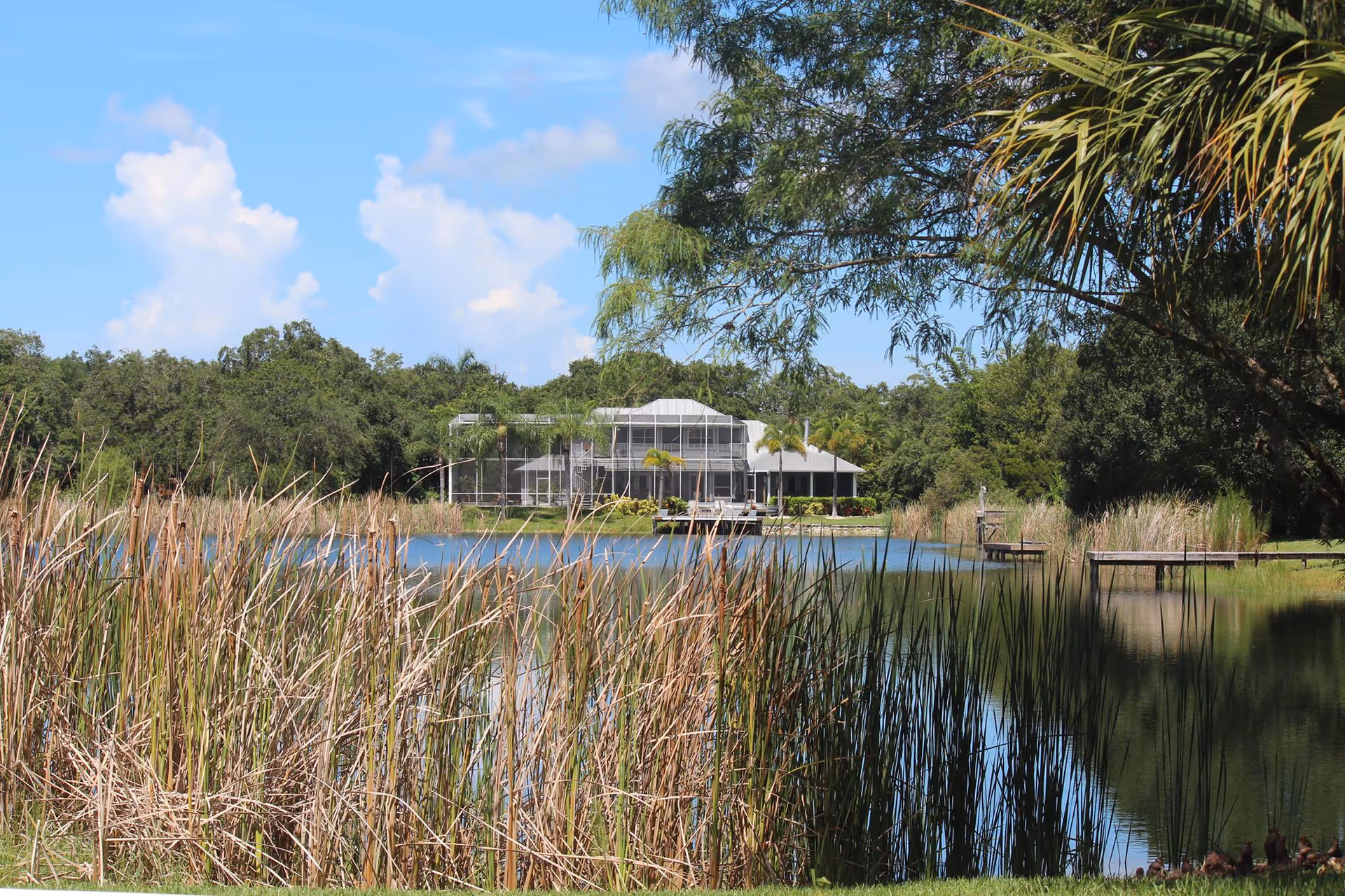 A serene outdoor scene featuring a pond with tall reeds in the foreground and a large house with screened balconies in the background, surrounded by lush green trees under a blue sky with scattered clouds.