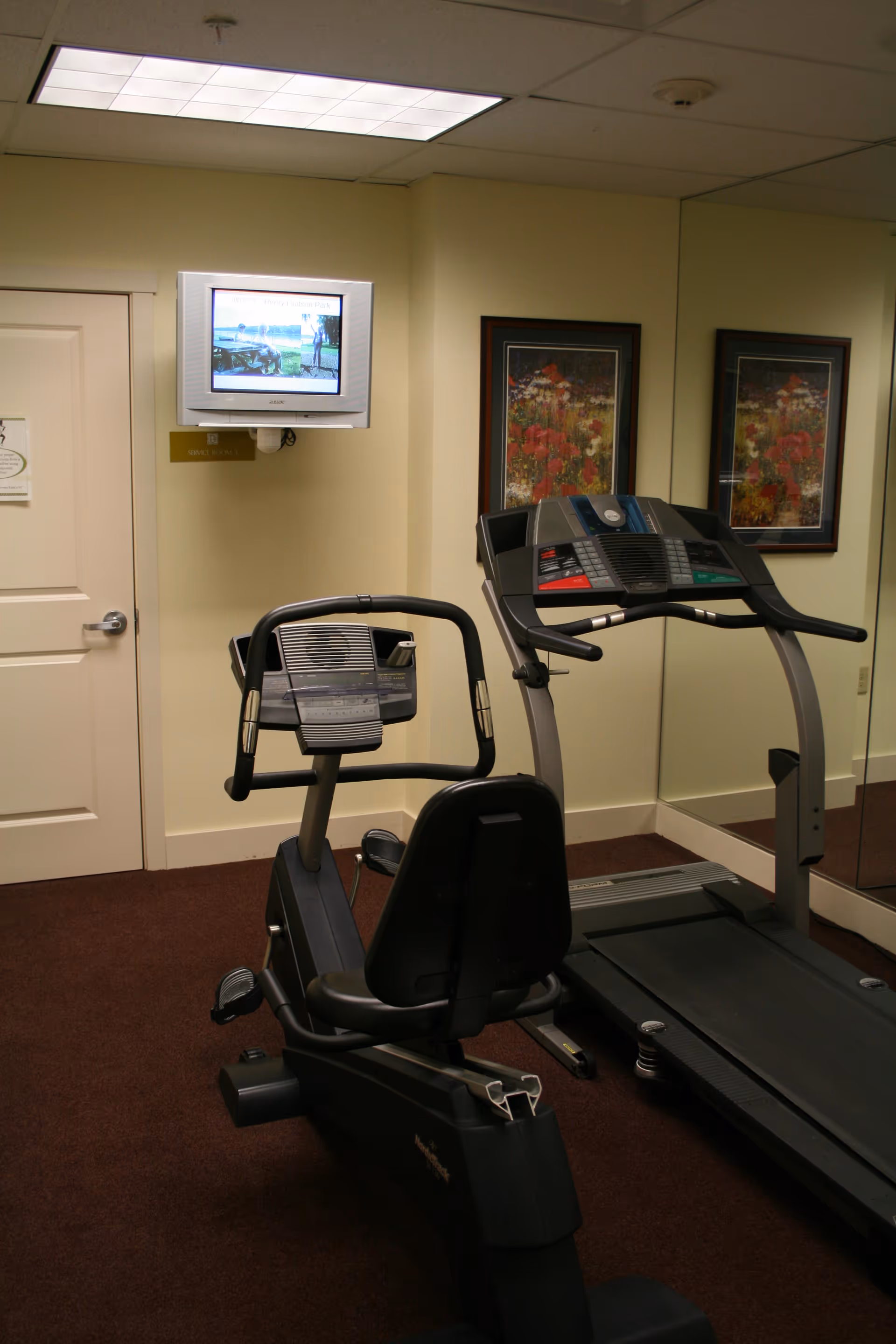 Small exercise room with a recumbent stationary bike and a treadmill facing a wall-mounted TV and mirrored wall.