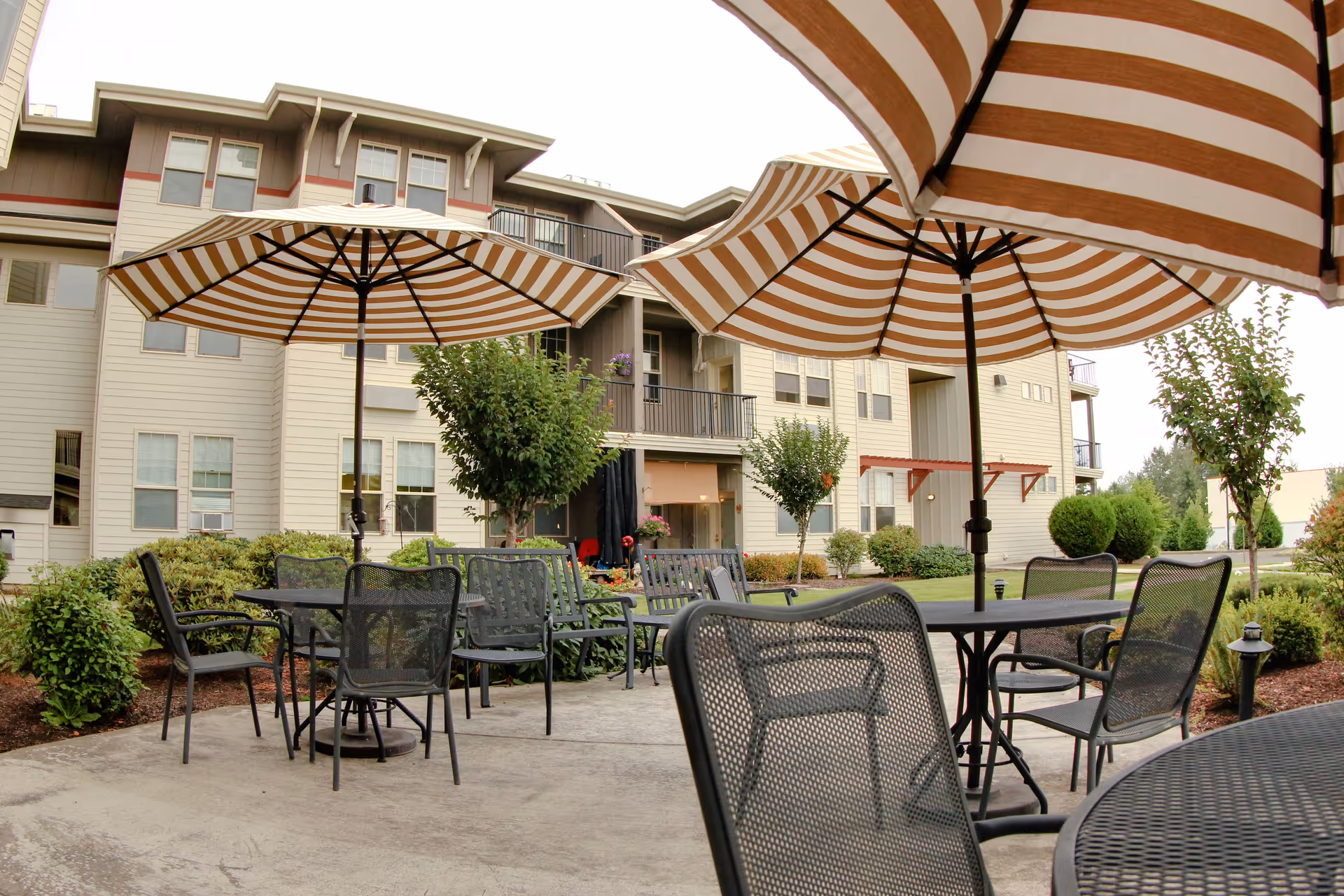 Outdoor patio area with several black metal tables and chairs, each table shaded by large striped umbrellas. The patio is surrounded by well-maintained bushes and small trees, with a multi-story residential building in the background.