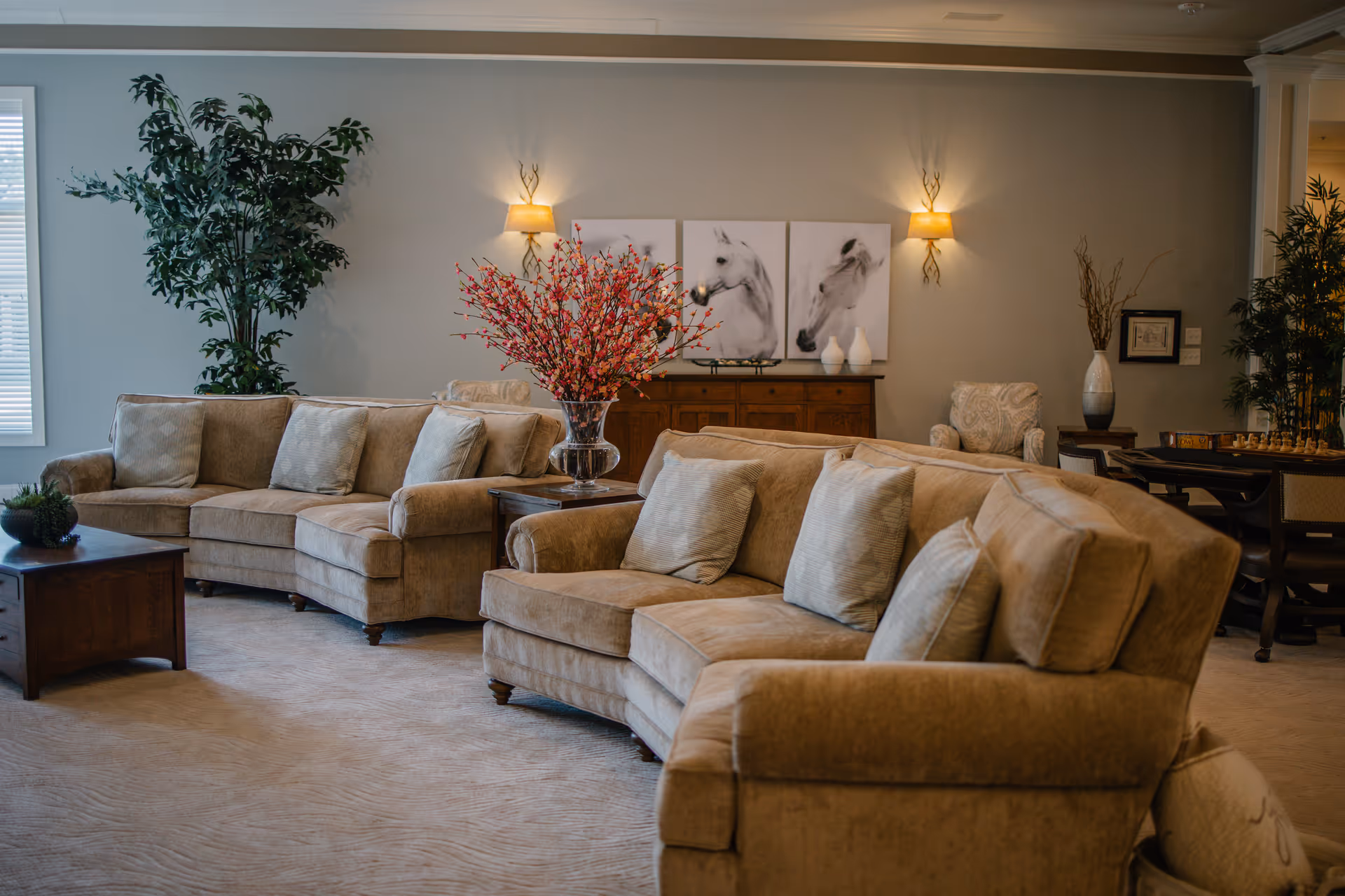 Communal living room with beige sofas, coffee tables, potted plants and wall art