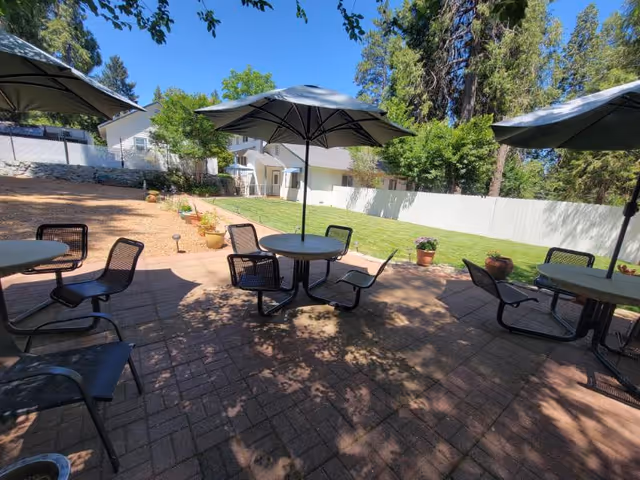 Outdoor patio area with round tables and chairs under large umbrellas, surrounded by trees and greenery, with a white fence and buildings in the background under a clear blue sky.