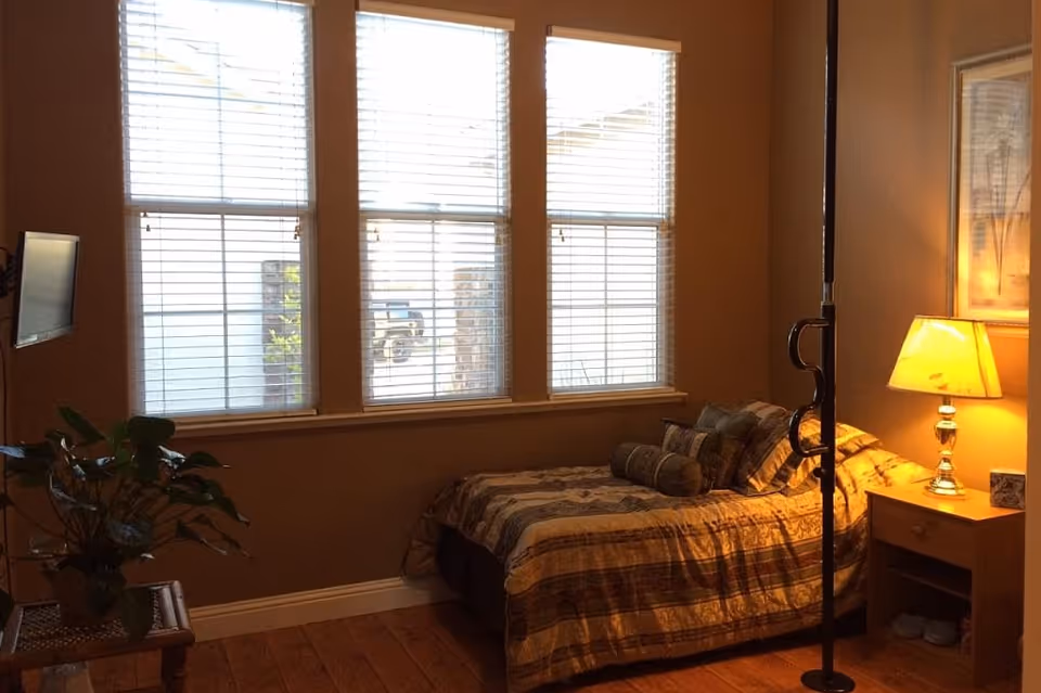 Cozy bedroom with a bed covered in patterned bedding, a bedside table and lamp, large windows with blinds, a wall-mounted TV and a potted plant.