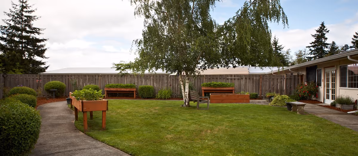 A fenced courtyard with a grassy lawn, raised planter boxes, benches, a central birch tree and a concrete path leading to building entrances.