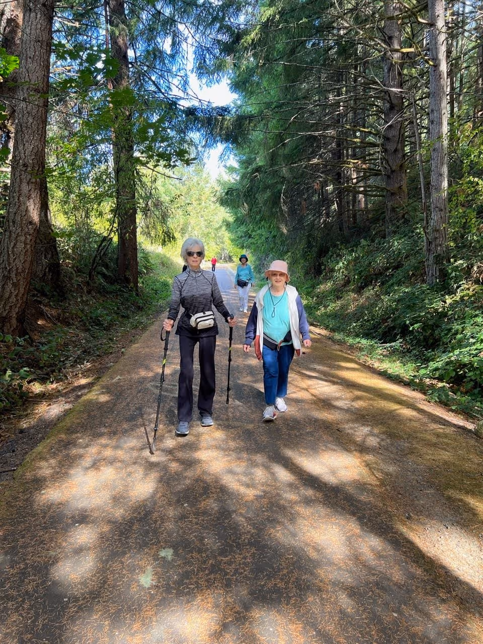 Four elderly women walking on a sunlit forest path surrounded by tall trees and greenery. Two women are in the foreground, one using walking poles and wearing sunglasses, the other wearing a pink hat and light jacket. Two more women are walking behind them on the path.