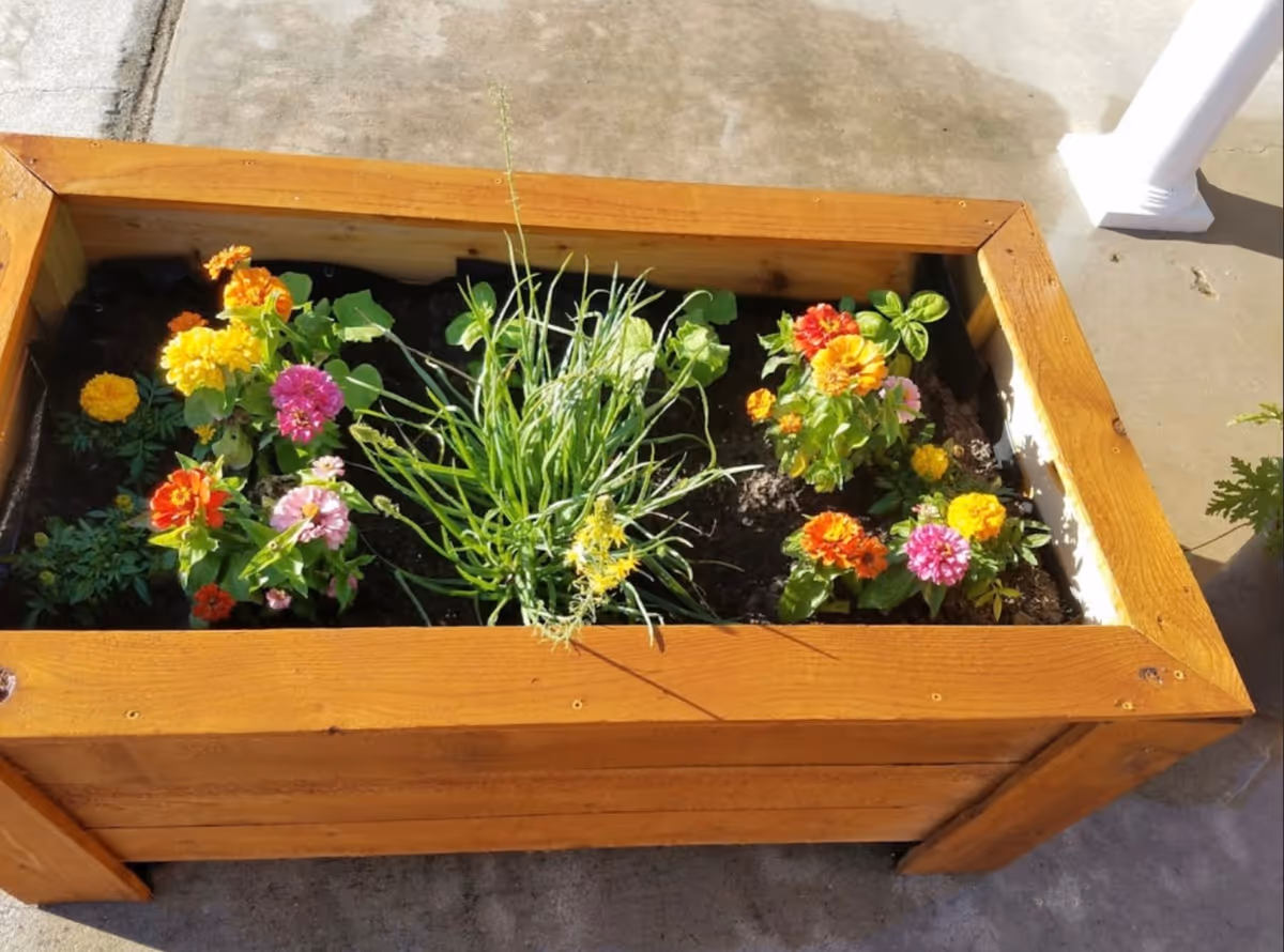 A wooden rectangular planter on a concrete patio filled with colorful flowering plants and green foliage.