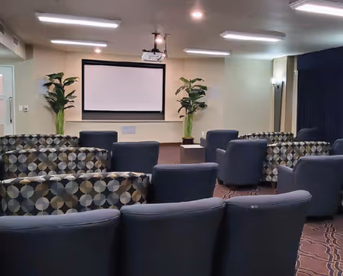 Small screening/media room with rows of upholstered chairs facing a wall-mounted projector screen and two potted plants.