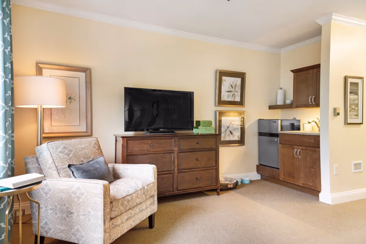 Cozy living area with an upholstered armchair, a TV on a wooden dresser, and a small kitchenette.