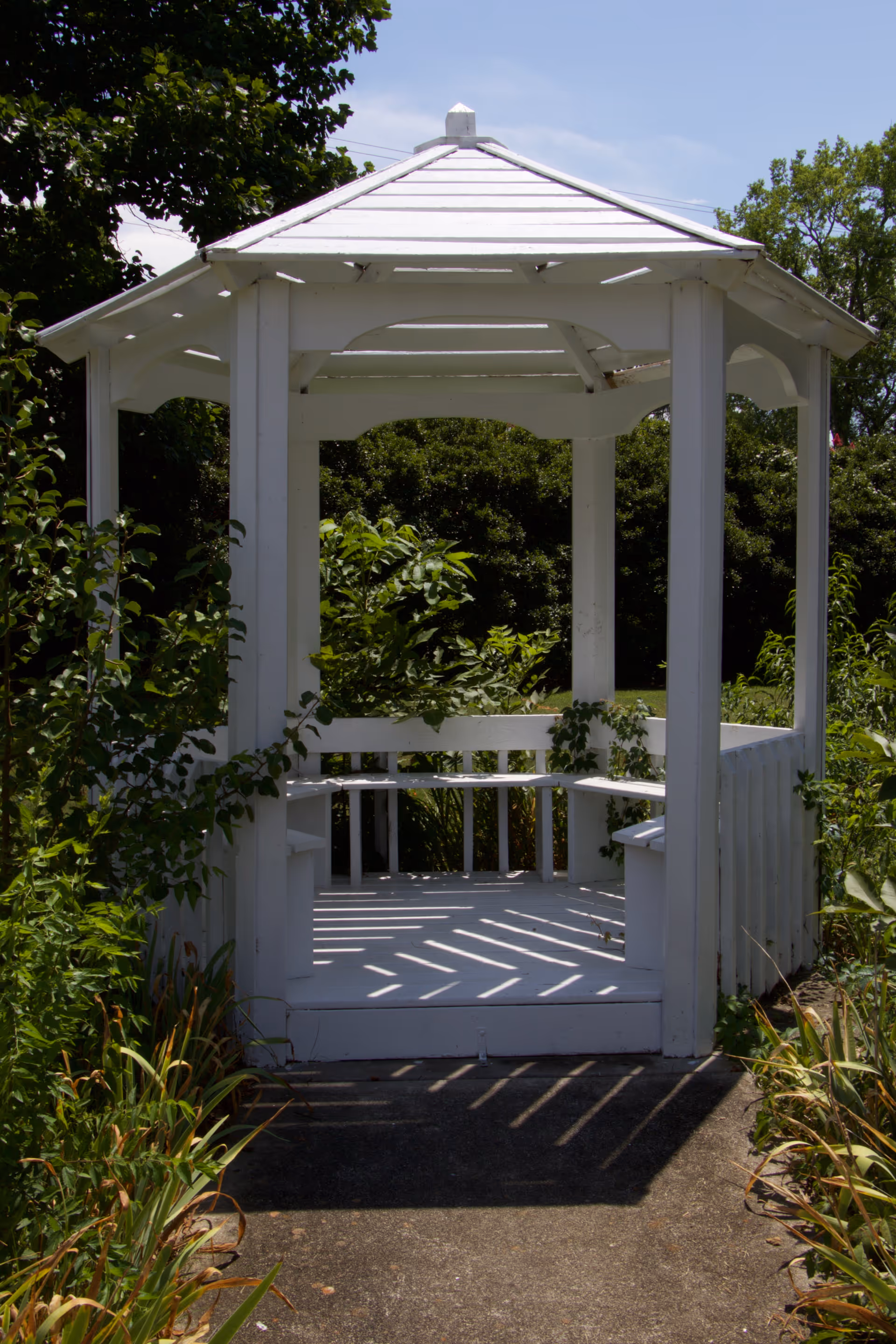 A white wooden gazebo with a peaked roof surrounded by green bushes and plants under a clear blue sky.