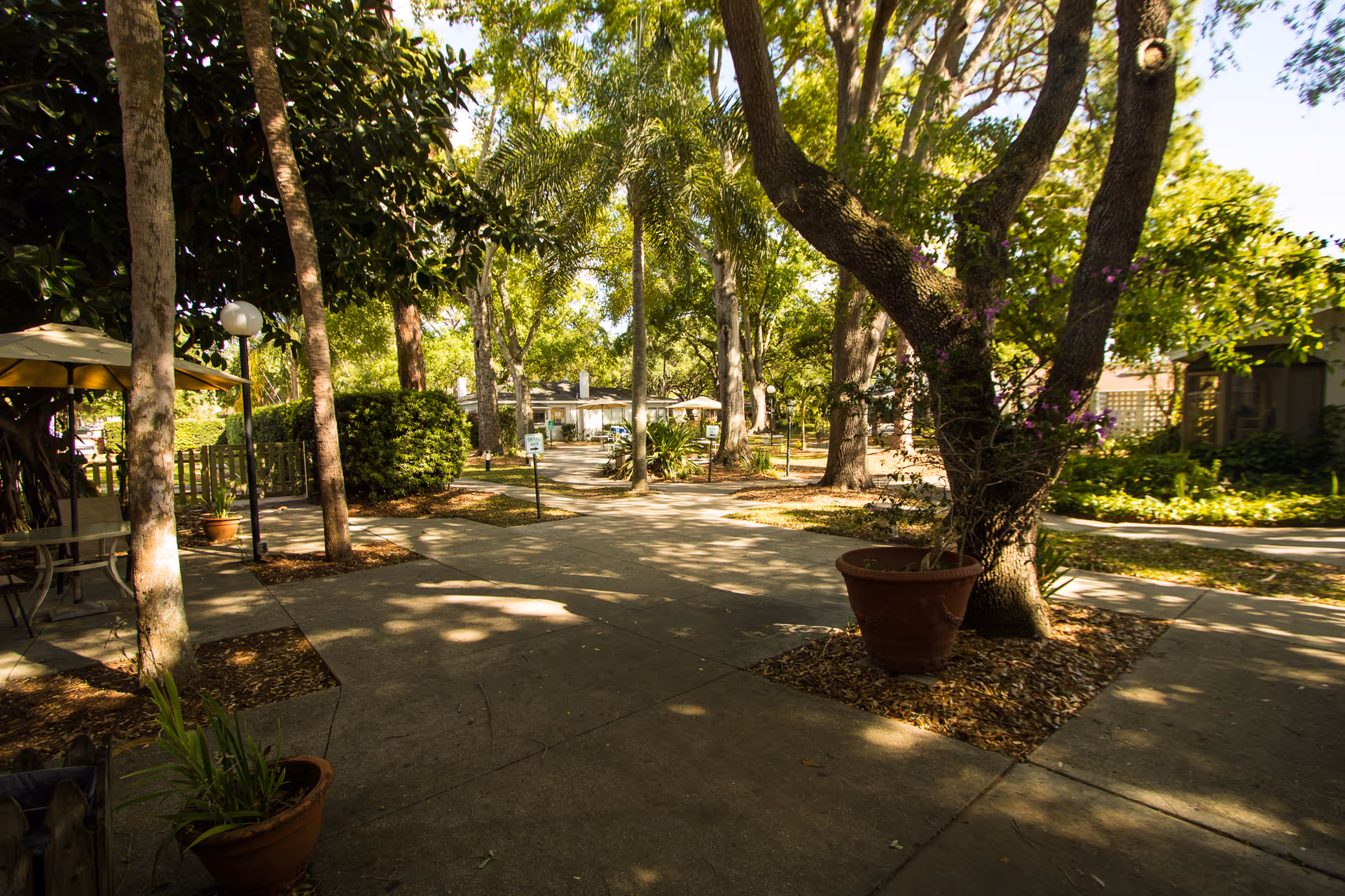 Shaded outdoor courtyard with paved walkways, large trees, potted plants, and seating areas.