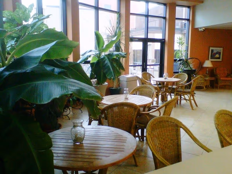 Sunlit communal seating area with round wooden tables, wicker chairs, and large potted plants by floor-to-ceiling windows.