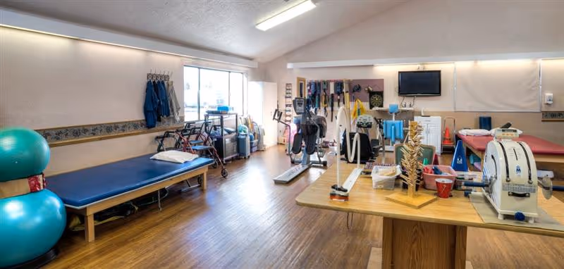 A rehabilitation therapy room with exercise equipment including stationary bikes, therapy tables, large exercise balls, and various physical therapy tools. The room has wooden flooring, a large window letting in natural light, and a television mounted on the wall.