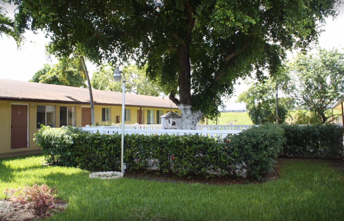 Exterior of Avalon Park Retirement Residence with a lawn, hedge, and large tree.