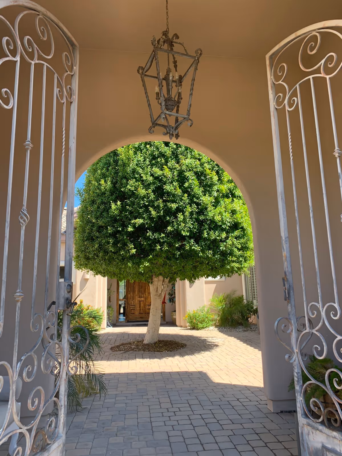 View through an open wrought iron gate into a courtyard with a neatly trimmed round tree in the center, surrounded by paved stone flooring and beige walls, with a hanging lantern light fixture above.