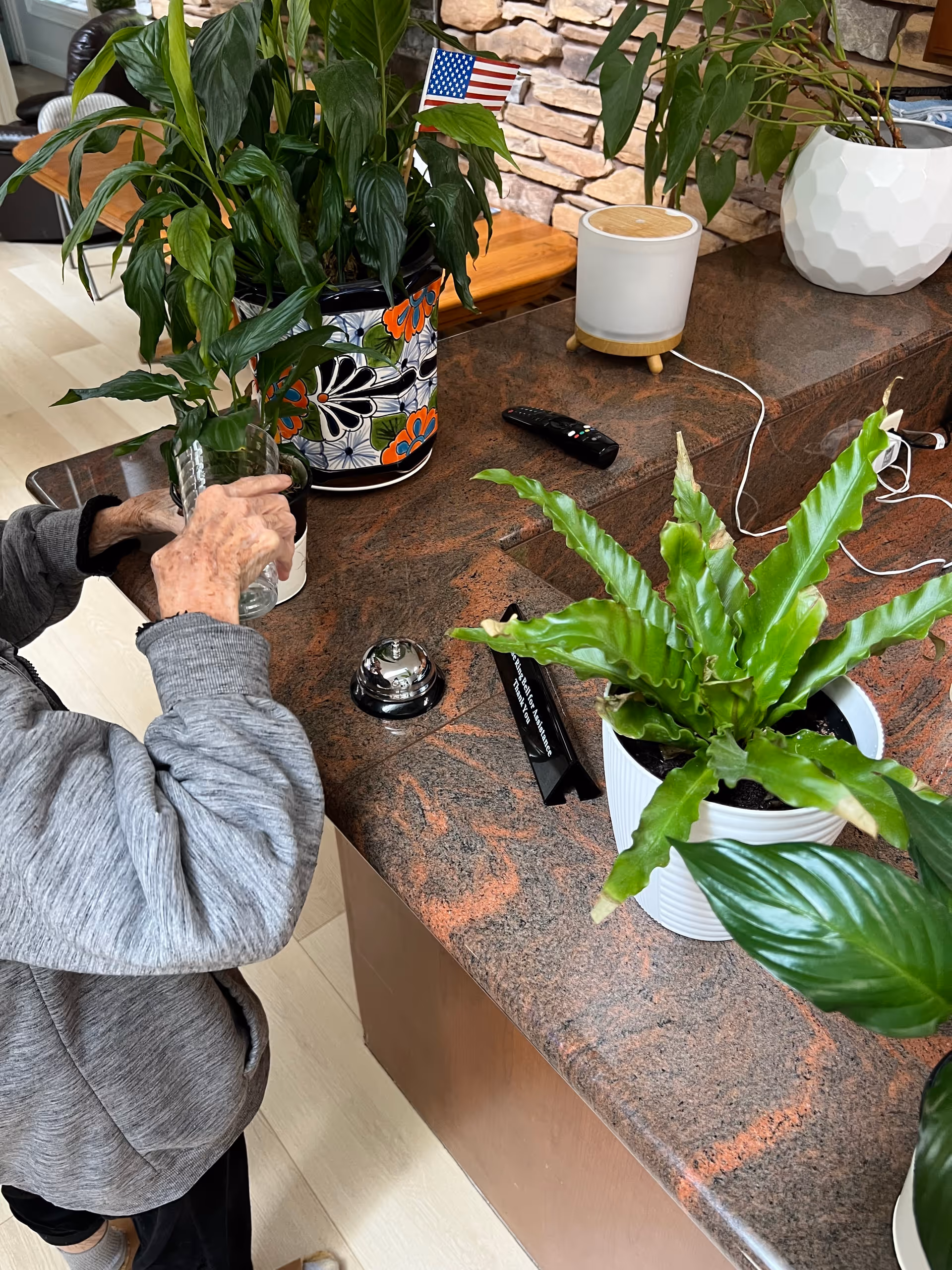An elderly person wearing a gray jacket is holding a glass of water near a countertop decorated with several potted plants, a small American flag, a silver service bell, a remote control, and a white speaker. The background features a stone wall and wooden furniture.