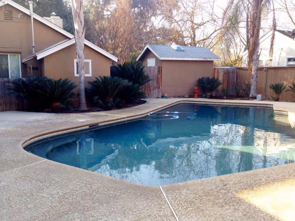 Outdoor swimming pool surrounded by a concrete deck with small palm plants and trees around. There are brown buildings and a wooden fence in the background under a clear sky.