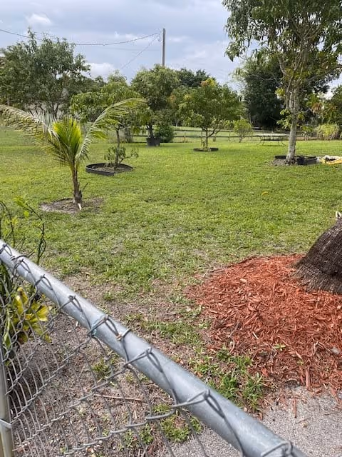 A fenced grassy yard with several small trees and plants, including a young palm tree. The sky is partly cloudy and there is a utility pole in the background.
