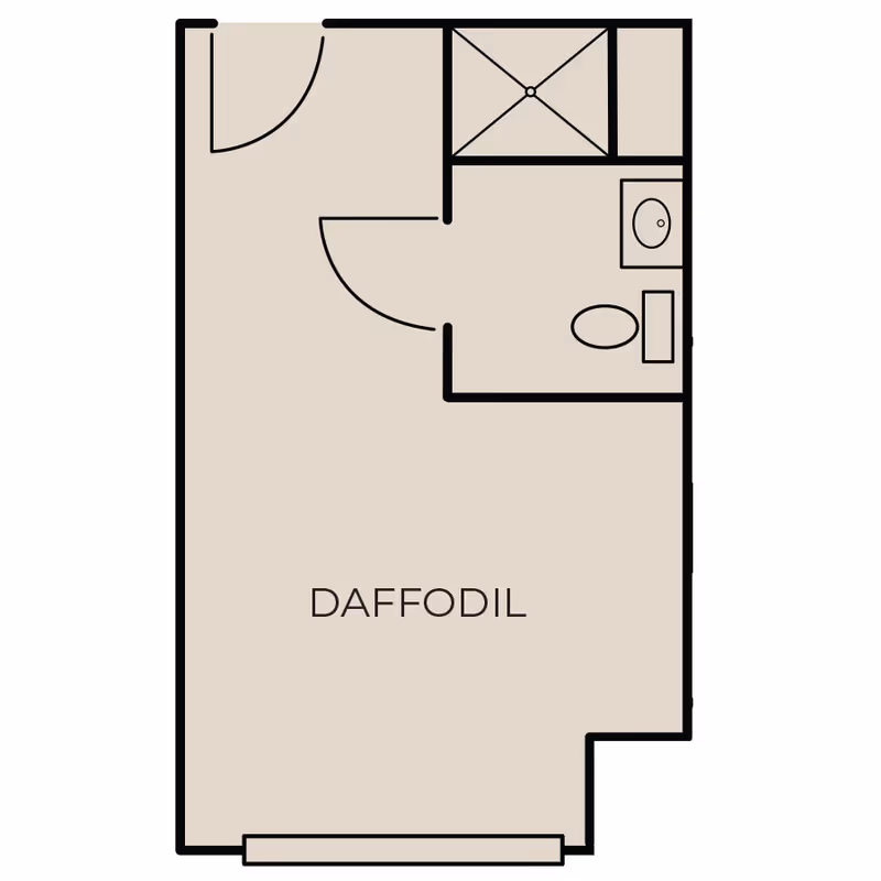 Floor plan labeled 'DAFFODIL' showing a studio layout with an entry, main living area, and a bathroom with sink, toilet, and shower.