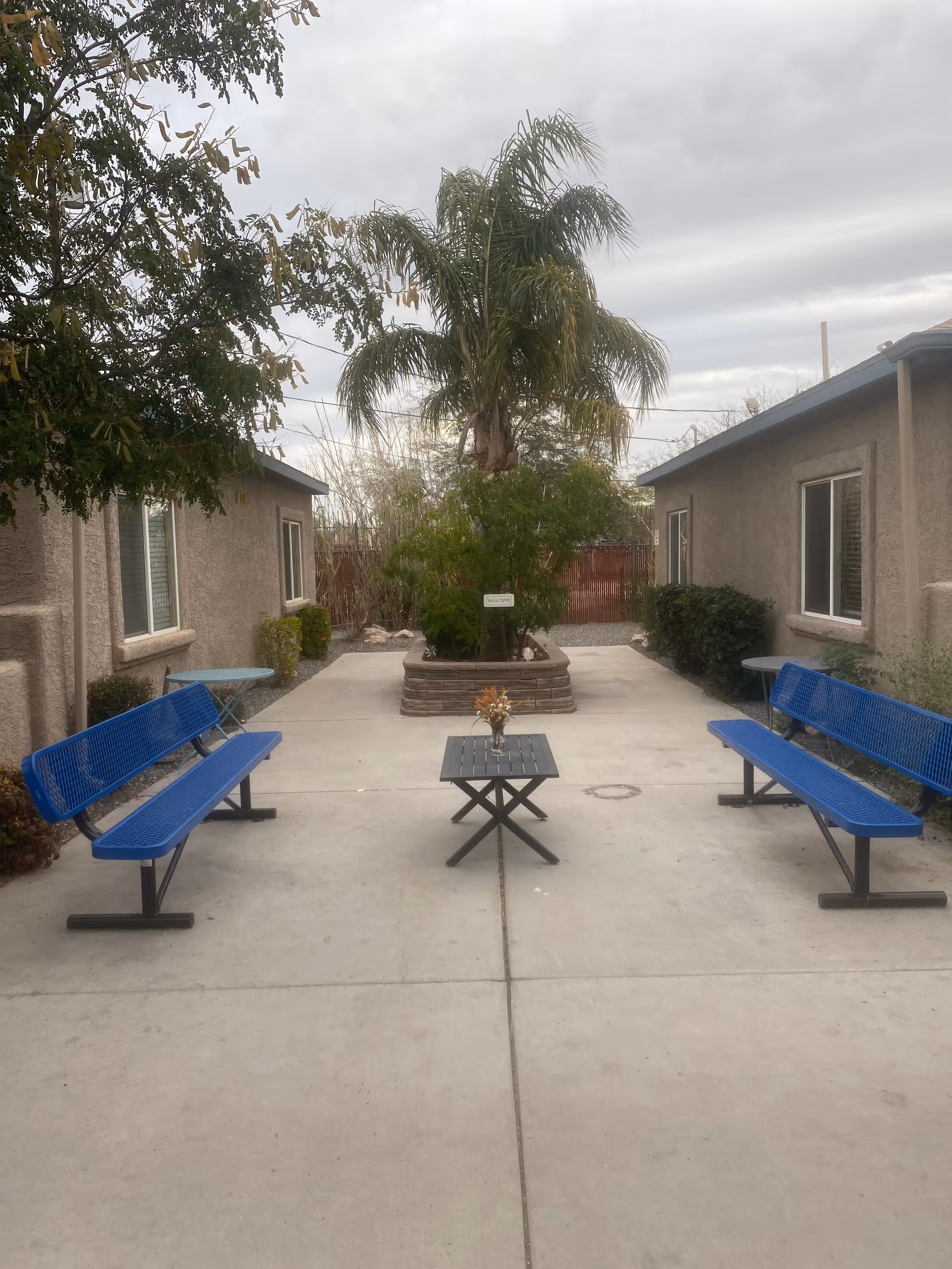 Outdoor courtyard area between two buildings with two blue metal benches facing each other and a small black table with a flower vase in the center. There is a raised planter with a palm tree and other greenery at the far end, under a cloudy sky.