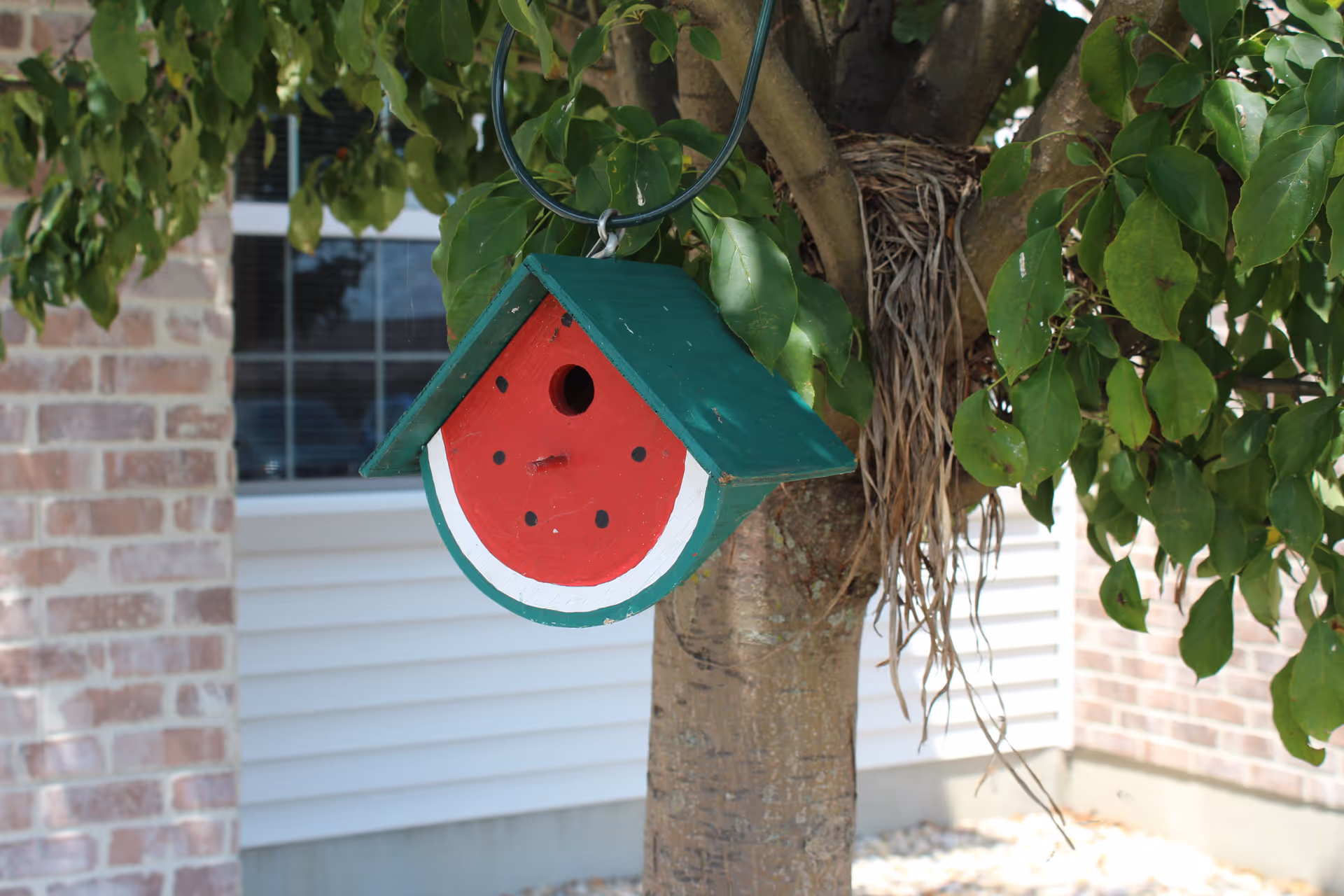 A small birdhouse painted to resemble a watermelon hanging from a tree branch with green leaves. In the background, there is a brick wall and a window with white siding beneath it.