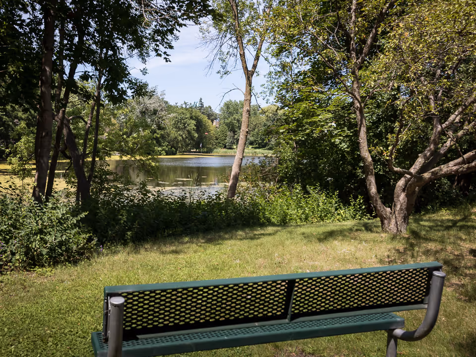A green metal bench facing a small pond surrounded by lush green trees and bushes under a clear blue sky.