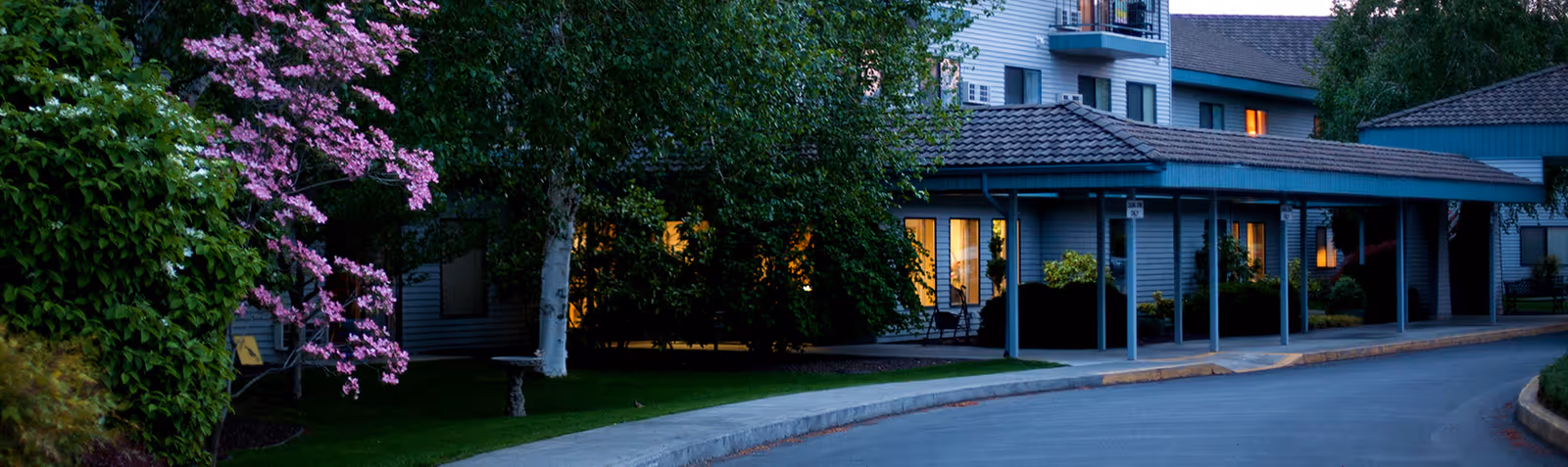 Covered driveway and entrance of a residential building at dusk with illuminated windows and landscaped grounds including a pink flowering tree.